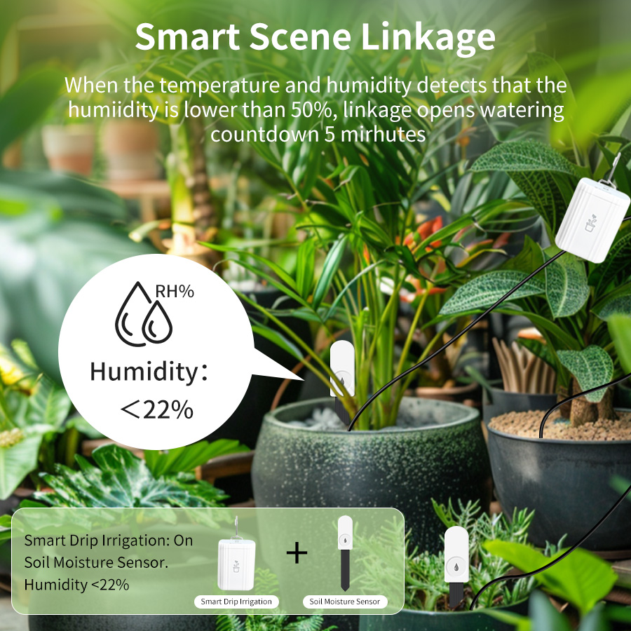Умный тестер почвы Zigbee 3.0, – обзор и цена Temperature Humidity Sensor