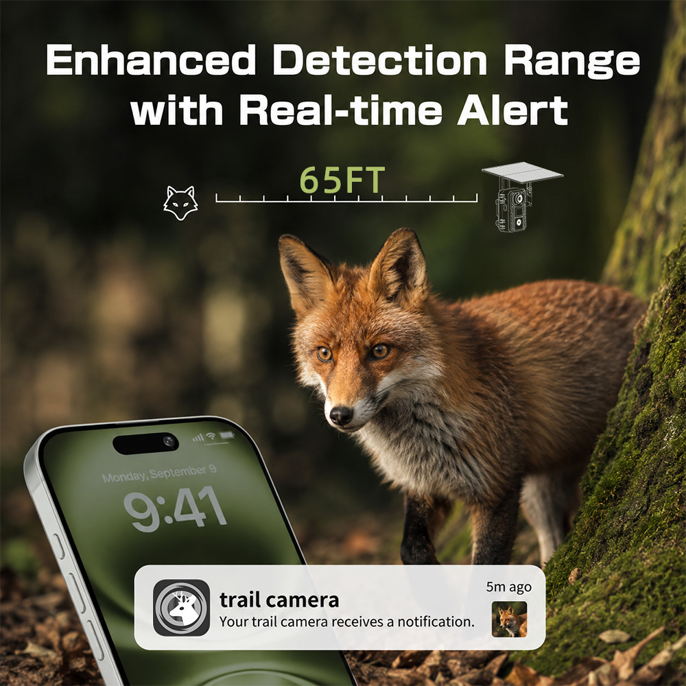 Камера для охоты и наблюдения  – обзор и цена Eufy Camera E220